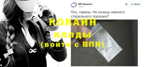 дживик Надым