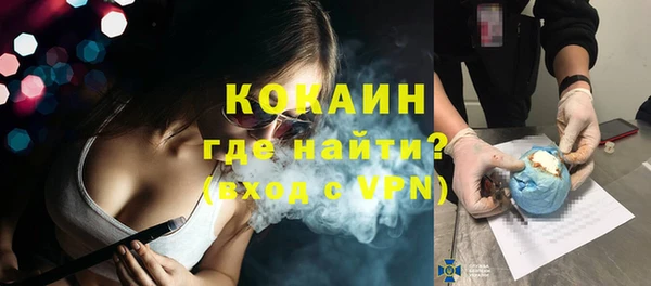 дживик Надым