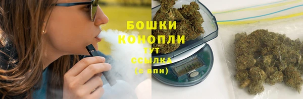 дживик Надым