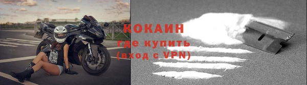 дживик Надым