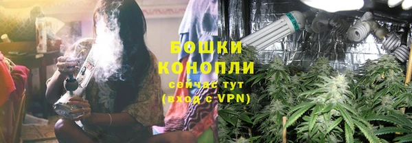 дживик Надым